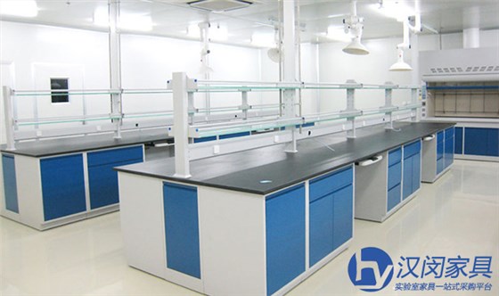 生物安全柜價格|漢閔實驗室家具定制