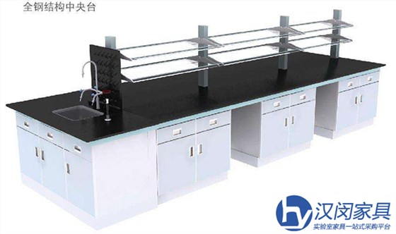 高端實(shí)驗(yàn)室家具|漢閔實(shí)驗(yàn)室設(shè)備廠家