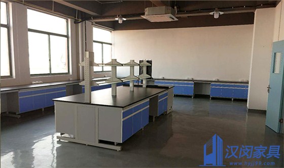 浙江青年優(yōu)品科技股份有限公司余姚分公司實(shí)驗(yàn)室家具定制案例|漢閔實(shí)驗(yàn)室家具