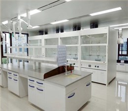 全鋼化驗室通風(fēng)櫥實驗室抽風(fēng)柜