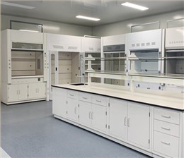 全鋼落地通風柜實驗室排風柜實驗室家具