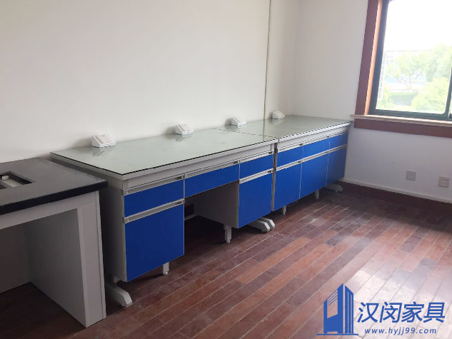 華昌聚合物有限公司|實(shí)驗(yàn)室家具定制案例