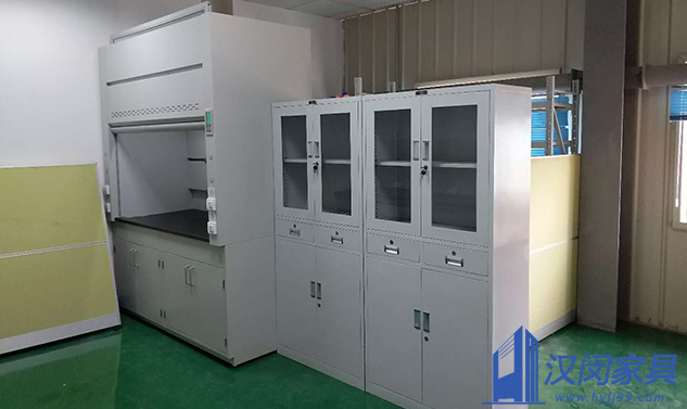 嘉興樂天化學(xué)實驗室家具定制案例|漢閔實驗室家具
